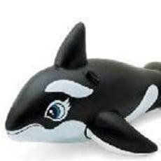 DELFIN 58561 8125