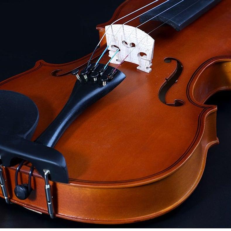 Violina 4/4 sa koferom — slika 3