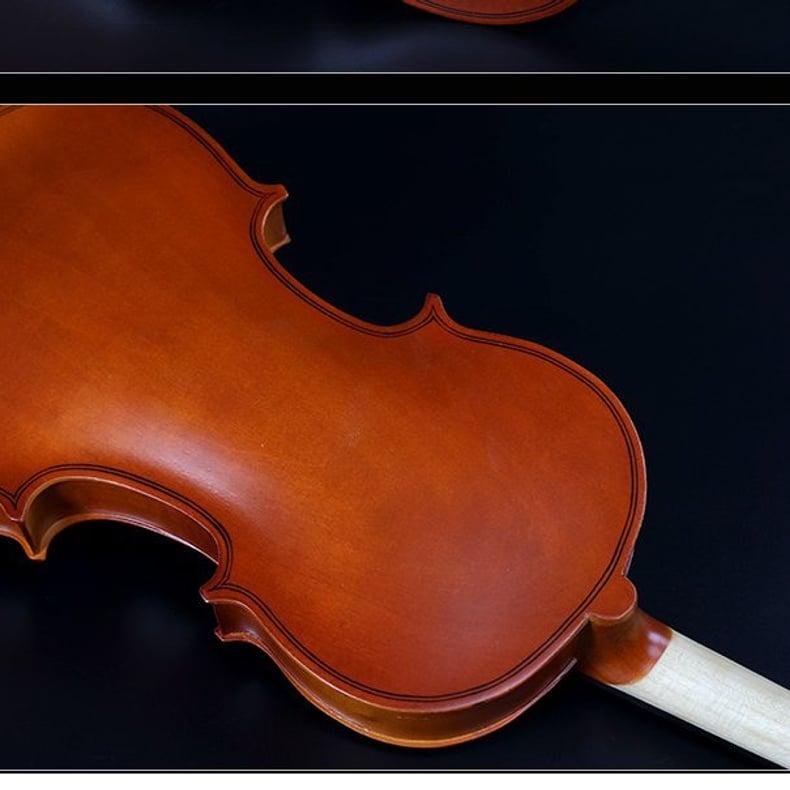 Violina 4/4 sa koferom — slika 5